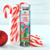 Scentsicles kerstornament geurstokjes   Candy Cane Forest   6 stuks