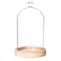 Atmosphera Glazen Stolp op Houten Plateau D12xH19 cm   Transparant / Lichtbruin