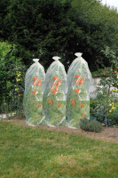 Nature tomatenfoliehoes   transparant   15m x diameter 50cm