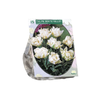 Baltus Tulipa Dubbel Vroeg White Valley   Bloembollen   10 stuks