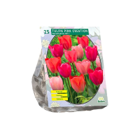 Baltus Tulipa Pink Creation   Elegante tulp   15 stuks