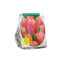 Baltus Tulipa Salmon Prince, Enkel Vroeg   10 stuks