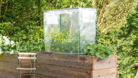 Vitavia afdekking verhoogd zaaibed S   hoekig   55cm x 158cm x 105cm