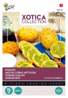 Buzzy seeds Xotica Kiwano zaden   Hoornkomkommer/Hoornmeloen