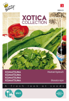 Buzzy seeds Xotica Komatsuna zaden