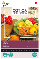 Buzzy seeds Xotica Peper zaden   Habanero Mix