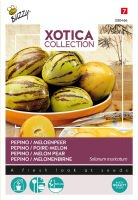 Buzzy seeds Xotica Pepino zaden   Meloenpeer