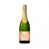 CHOYA Ume Salute 200 ml