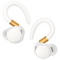 Anker Sport X20 draadloze in ear headset voor gesprekken, muziek, sport en dagelijks gebruik   Wit