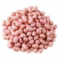 VN Roze Pinda Pitten/Lac Vo Hong 500 g