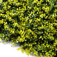 TENAX 3D Paneel Buxus   0,5 x 1 m, Groen Geel
