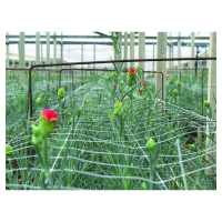 Tenax decoratief pvc klimrek   wit, 100 x 300 cm