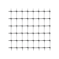 TENAX Beschermnet voor gevogelte   Zwart, 2 x 200 m
