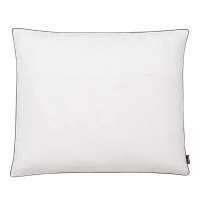 VidaXL Kussens 2 st zwaar 70x60 cm dons /verenvulling wit