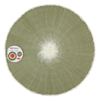 Alpina Ronde Placemat   Groen, dia 39 cm