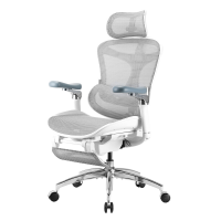 Sihoo Doro C300 Pro ergonomische bureaustoel met ultrazachte 6D armleuningen, dynamische lendensteun, zitdiepteregeling en verstelbare rugleuning, geschikt voor het thuiskantoor, met pedaal (Wit)