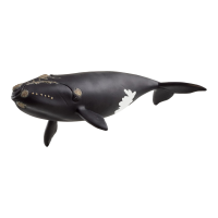 Schleich Wild Life Noordkaper speelfiguur   meerkleurig, 9,7 x 19,5 cm, 14878