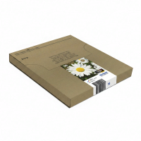 Epson Daisy multipack 4 kleuren 18 EasyMail