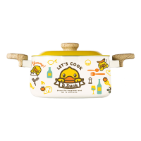 COOKER KING B.DUCK braadpan met antiaanbaklaag, soeppan, geschikt voor inductiekookplaat en gasfornuis, 22 cm
