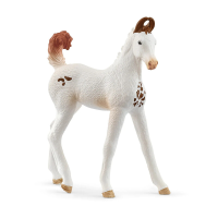Schleich Horse Club Marwari veulen speelfiguur   Meerkleurig, 2,5 cm