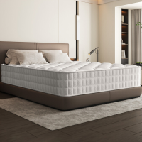GTIMEX 7 zone verenmatras met hoeslaken, 160 x 200 cm, 22 cm hoog, hardheidsgraad H3, ademend, rugondersteunend, orthopedisch