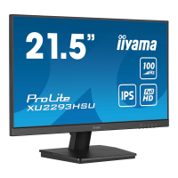 Iiyama ProLite 21,5 inch IPS Full HD monitor met USB hub, 1 ms MPRT en 100 Hz verversingssnelheid