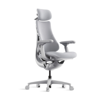 LiberNovo Omni Dynamic ergonomische stoel spacegrijs 48 cm 1 stuk