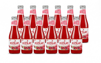 Kızılay Nar Aromali Maden Suyu (Granaatappel mineraalwater) 12 x 200 ml