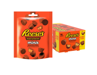 Reese's PBC Minis zak 16 x 68 g