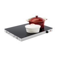 Fritel Warmhoudplaat WT 2478 XXL   Grote Voedselverwarmer/Warmhoudplaat   54 x 41 cm   4,2 kg + 400 W