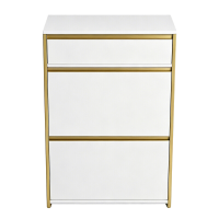 HaluPeit smalle schoenenkast met 2 scharnierdeuren, schoenenrek, schoenenplank met lade, smalle schoenenkast met 4 planken, verstelbaar, voor gangen en gangen, 60 x 24 x 104,5 cm, wit en goud