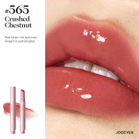 JOOCYE LONG LASTING GLOSSY ROUGE 565 CRUSHED CHESTNUT