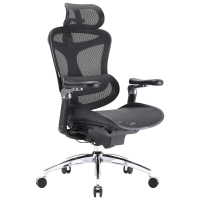 Sihoo Doro C300 Pro ergonomische bureaustoel met ultrazachte 6D armleuningen, dynamische lendensteun, verstelbare zitdiepte en verstelbare rugleuning, voor thuiswerk (zwart)