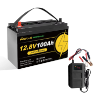 Foursun 12 V 100Ah LiFePO4 batterij met BMS bescherming tegen lage temperaturen, inclusief oplader, 4500+ cycli voor camper/zonne energie/camping