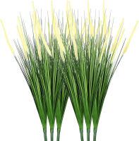 DDHS 32 inch gele vossenstaartgras   6 stuks