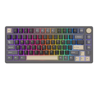 RK ROYAL KLUDGE M75 Phantom Mechanisch Toetsenbord met OLED Smart Display en Volumeknop, 2.4 G/USB C/BT Gasket Mounted 75% Layout Draadloos Gaming Toetsenbord met 81 Toetsen, RGB Achtergrondverlichting, Hot Swappable Cream Switch