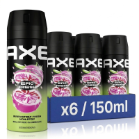 AXE Deospray   Epic Fresh 150 ml (6 Pack)