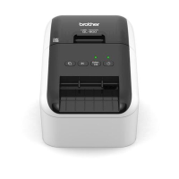 Brother QL 800 labelprinter direct thermisch kleur 300 x 600 DPI 148 mm/sec bedraad DK