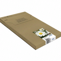 Epson Daisy Multipack 4 kleuren 18XL EasyMail