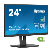 Iiyama ProLite 24