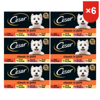 Cesar natvoer voor volwassen honden kip & kalkoen, rund & lever, kalf & gevogelte, mix van lam & kalkoen 4 * 6 = 24 × 150 g