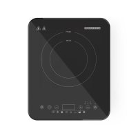 MELISSA Inductiekookplaat | 2000 W | 10 vermogensstanden | 8 voorinstellingen | timerfunctie | boostfunctie | LCD display | oververhittingsbeveiliging | kinderslot | zwart