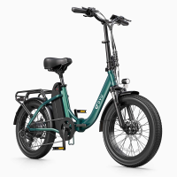 DYU C9 opvouwbare elektrische fiets voor volwassenen 250 W elektrische wegfiets 48 V 15,6 Ah fatbike MTB e bike 20 inch elektrische mountainbike 25 km/u   groen