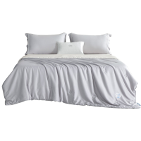 MENDALE anti allergie donsdekbed van zijdemix, biologisch tussah wilde zijde & sojavezel dekbed, 200x200 cm, 870 g/10,5 TOG, ultrazachte ademende hypoallergene beddengoed, randstiksels & 33 punts quilting om verschuiven te voorkomen