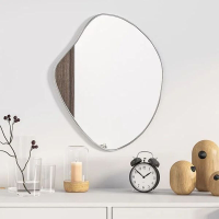 VidaXL Wandspiegel Zilver 50 x 40 cm
