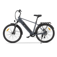 Touroll J2 250 W 26 inch 36 V 15,6 Ah Trekkingfiets met Dubbele Schijfremmen & E rem