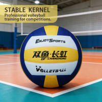 Double Fish VC500P Maat 5 Volleybal, Professionele Training & Matchbal, Zachte Microvezel Hoes, Officiële Volleybal voor School, Club, PE examen en Wedstrijd
