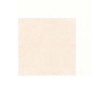 BJ Wegwerp afwasdoek van loof (25 x 25 cm)   20 stuks