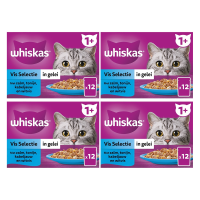 Whiskas natvoer voor volwassen katten visselectie in gelei multipack 12 x 85 g * 4