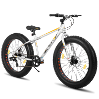 Hiland Roon mountainbike voor kinderen, tieners en volwassenen met dikke banden, Europese standaard, met Shimano 7 versnellingen en dubbele schijfremmen, zilver, 24 inch